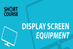 Display Screen Equipment