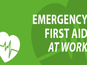 Emergency First Aid Course