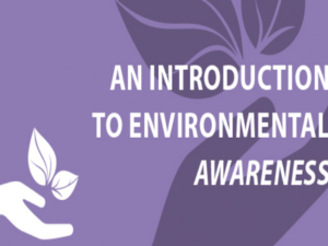 Introduction to Environmental Awareness