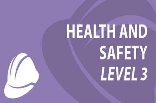 Health and Safety Level 3