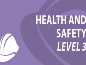 Health and Safety Management in Health Care Level 3